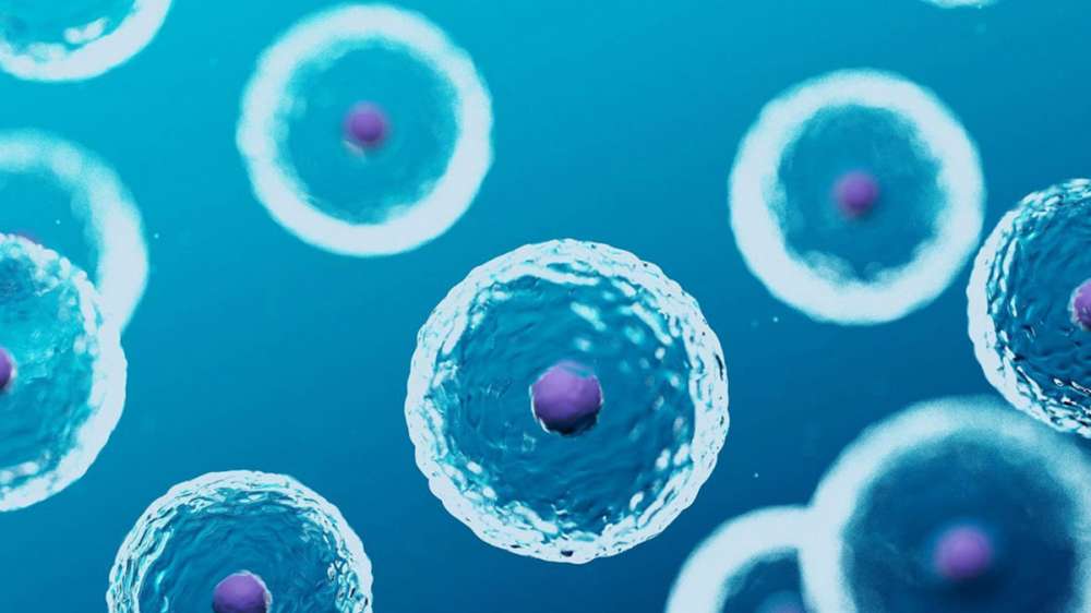 汇总：2020年干细胞疗法的最新研究成果！