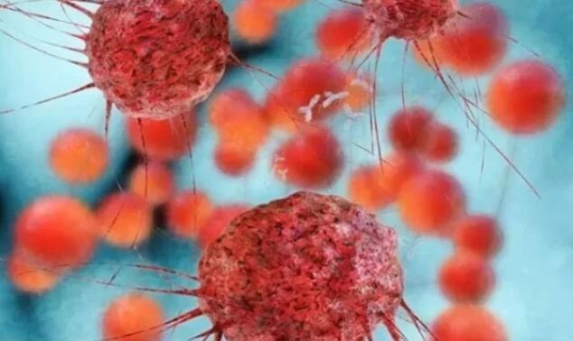 国际学术期刊《Science Direct》揭秘干细胞治疗子宫内膜损伤的机制