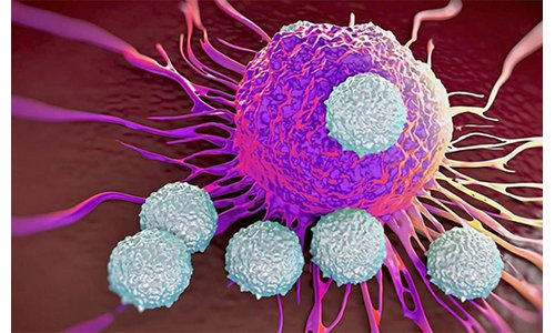 癌症的免疫细胞治疗