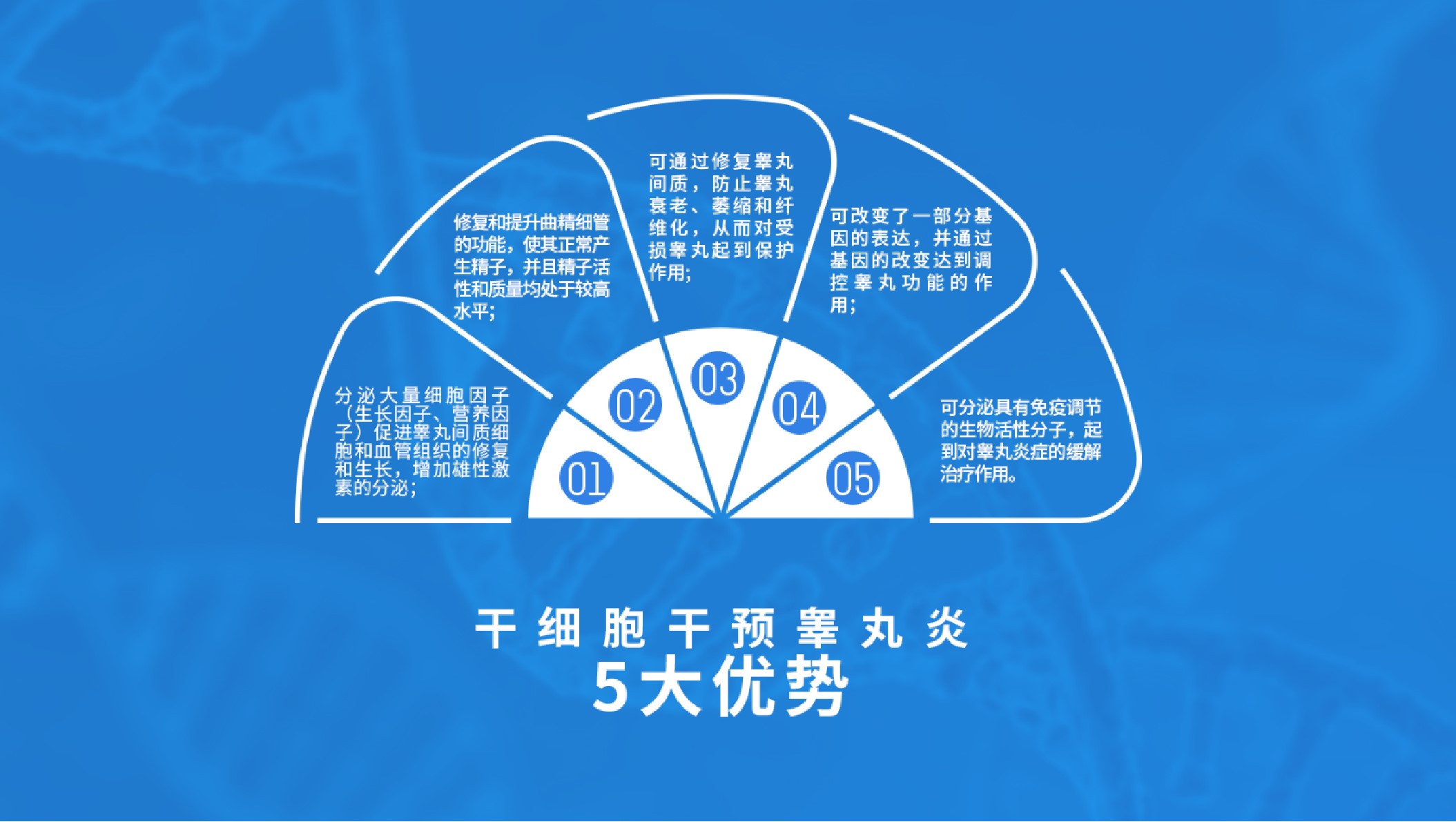 干细胞睾丸再生技术
