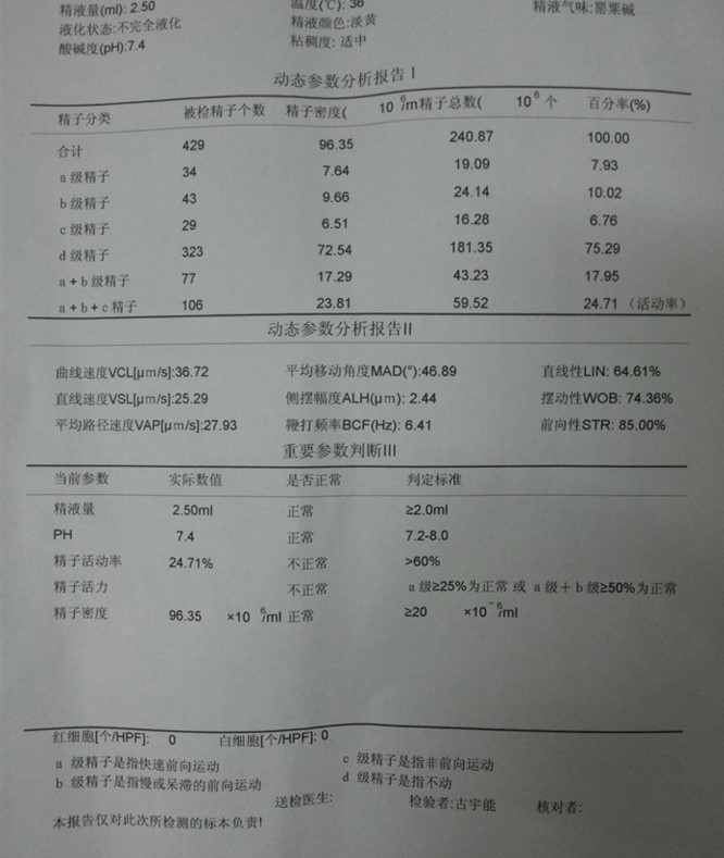干细胞睾丸再生技术