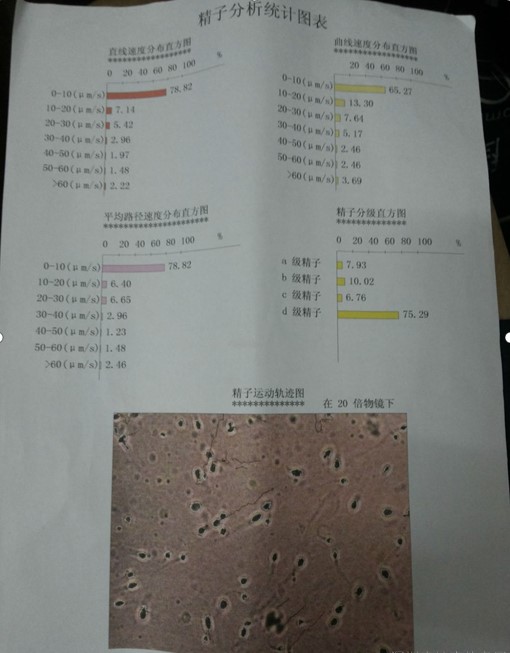 干细胞睾丸再生技术