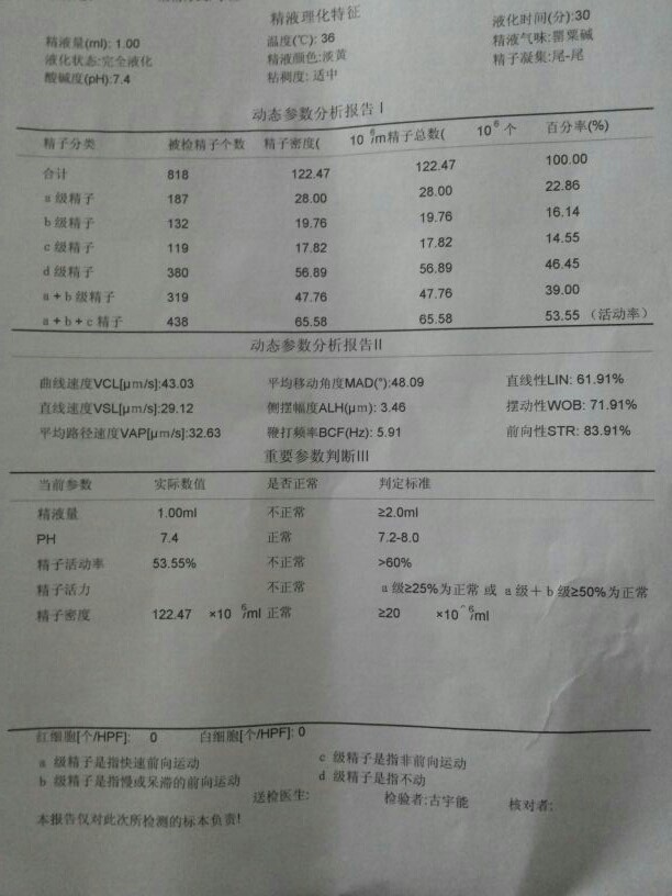 干细胞睾丸再生技术