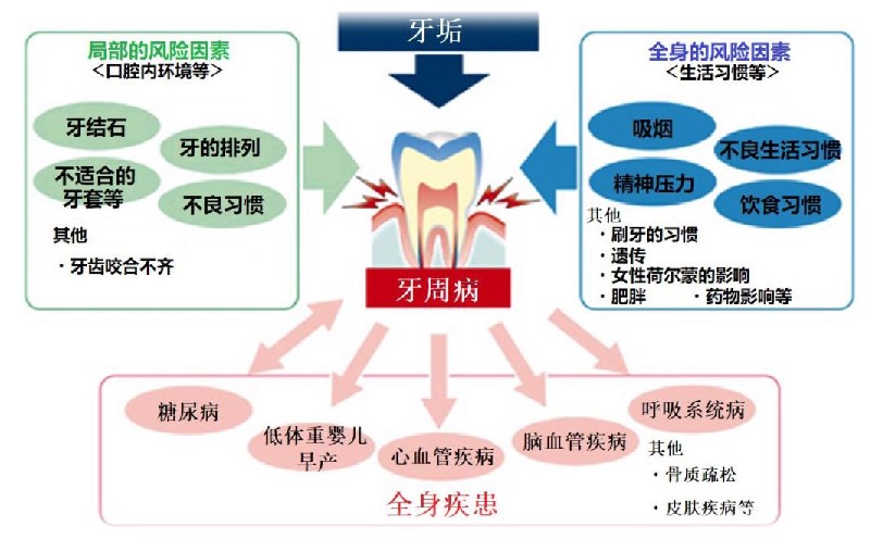 间充质干细胞-治疗牙龈萎缩