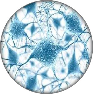 鲜活细胞-优于普通干细胞