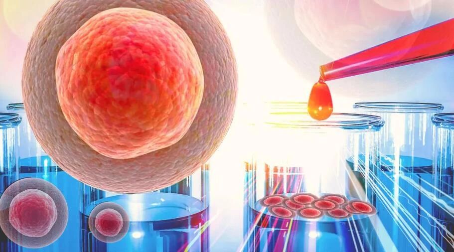 专家点评：中国干细胞科技科研将迎来黄金期