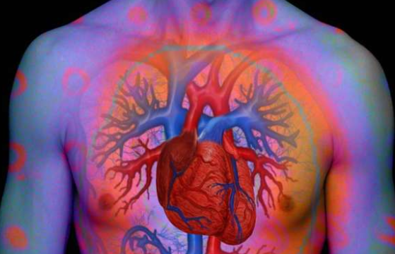 加州大学的研究小组发现了一种干细胞衍生机制，它可能是心脏损伤的再生疗法