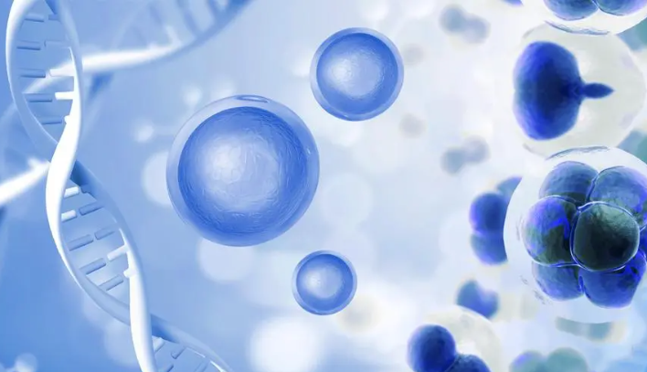 干细胞针对死精子有办法治疗吗