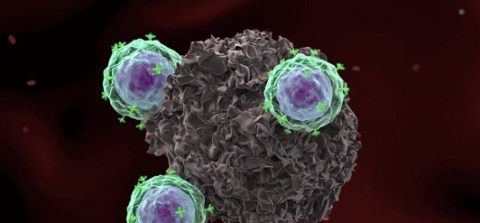 CAR-T细胞疗法在多种肿瘤治疗中的惊艳表现