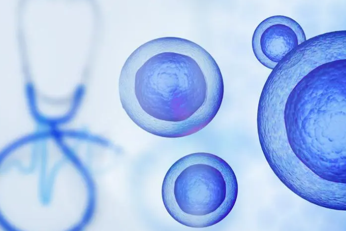干细胞针对死精子治疗的方法