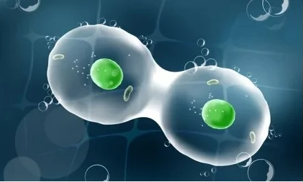 精子死精干细胞怎么治疗