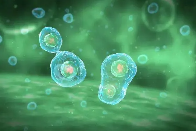 死精多活干细胞能治疗吗