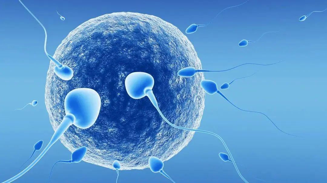 干细胞治疗死精子的疗法