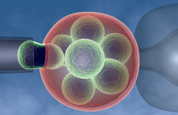 干细胞针对男性死精怎么治疗