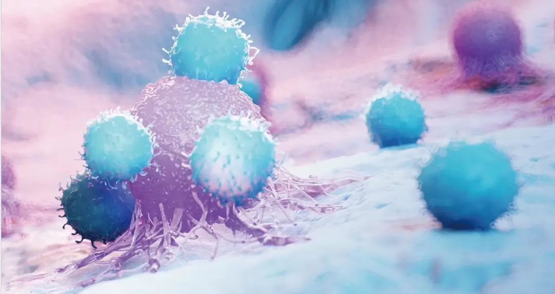 什么是CAR-T细胞疗法？