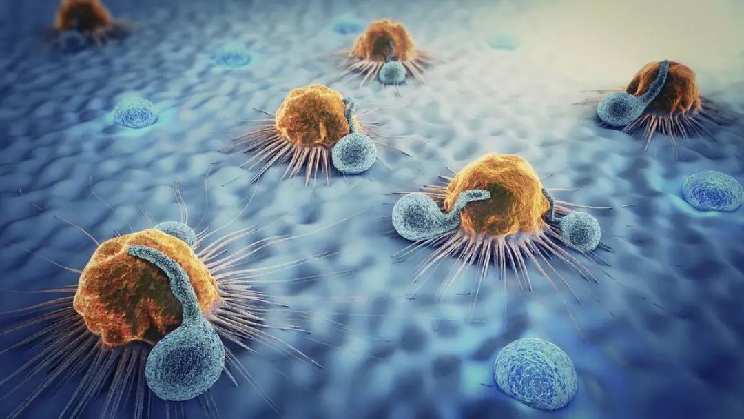 什么是CAR-T细胞疗法？