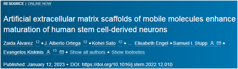 《Cell》：利用诱导性多能干细胞iPSC产生高度成熟的神经元，为脊髓损伤/神经退行性疾病提供了新的
